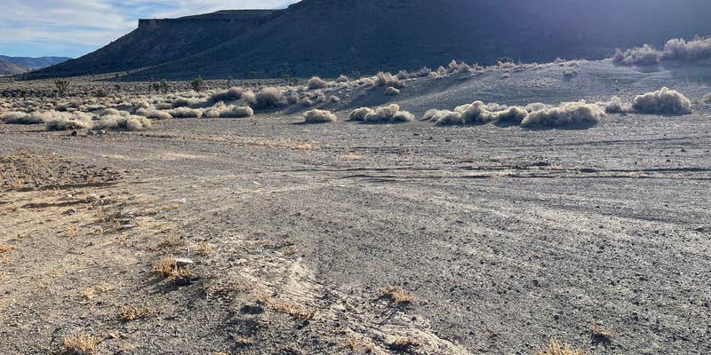 Camper submitted image from Spring Rd. Dispersed