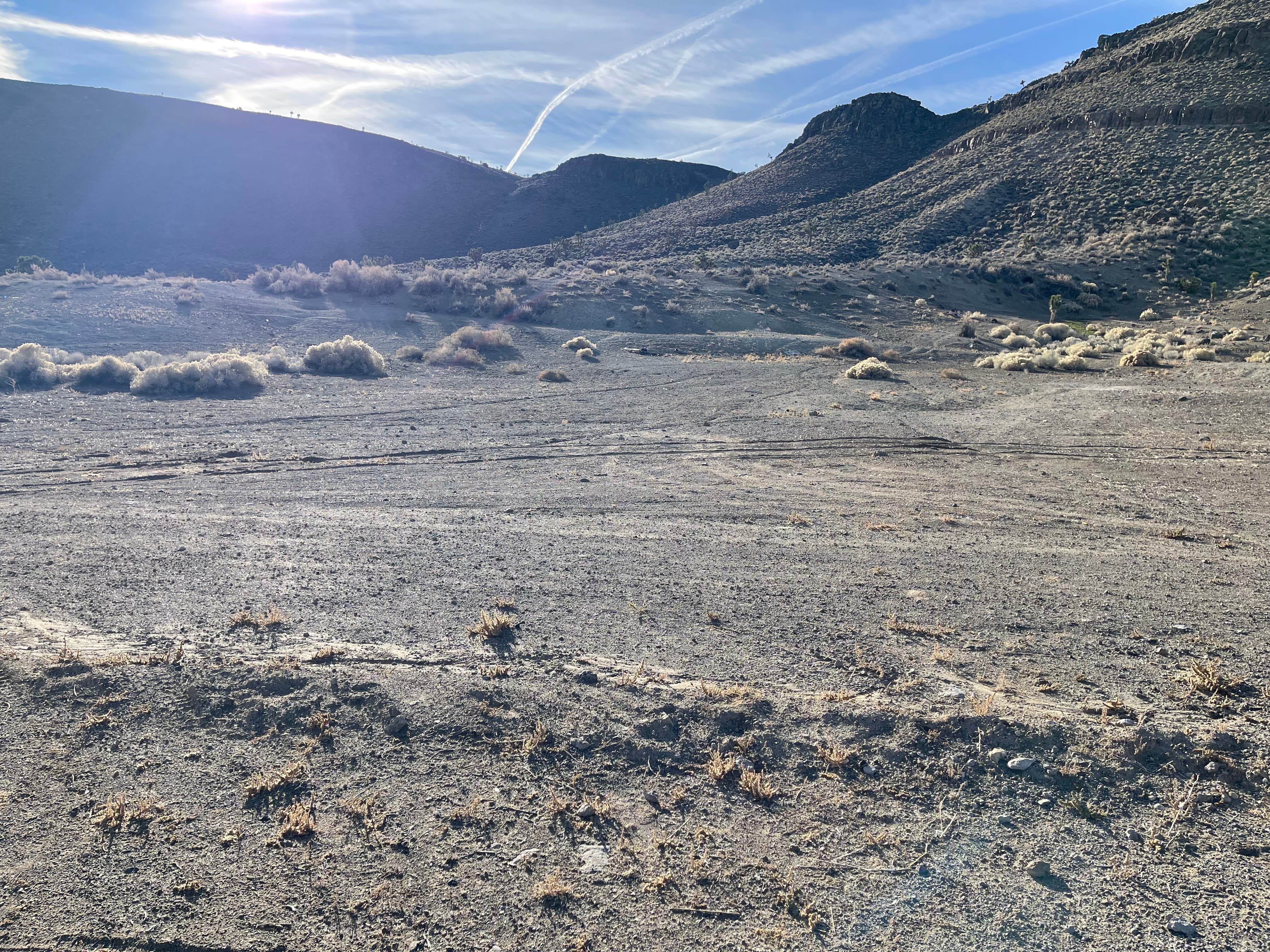 Camper-submitted photo at Spring Rd. Dispersed near Tonopah, NV