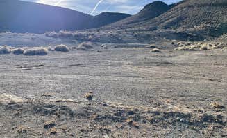 Roy S.'s photo of a dispersed camping area at Spring Rd. Dispersed in Nevada