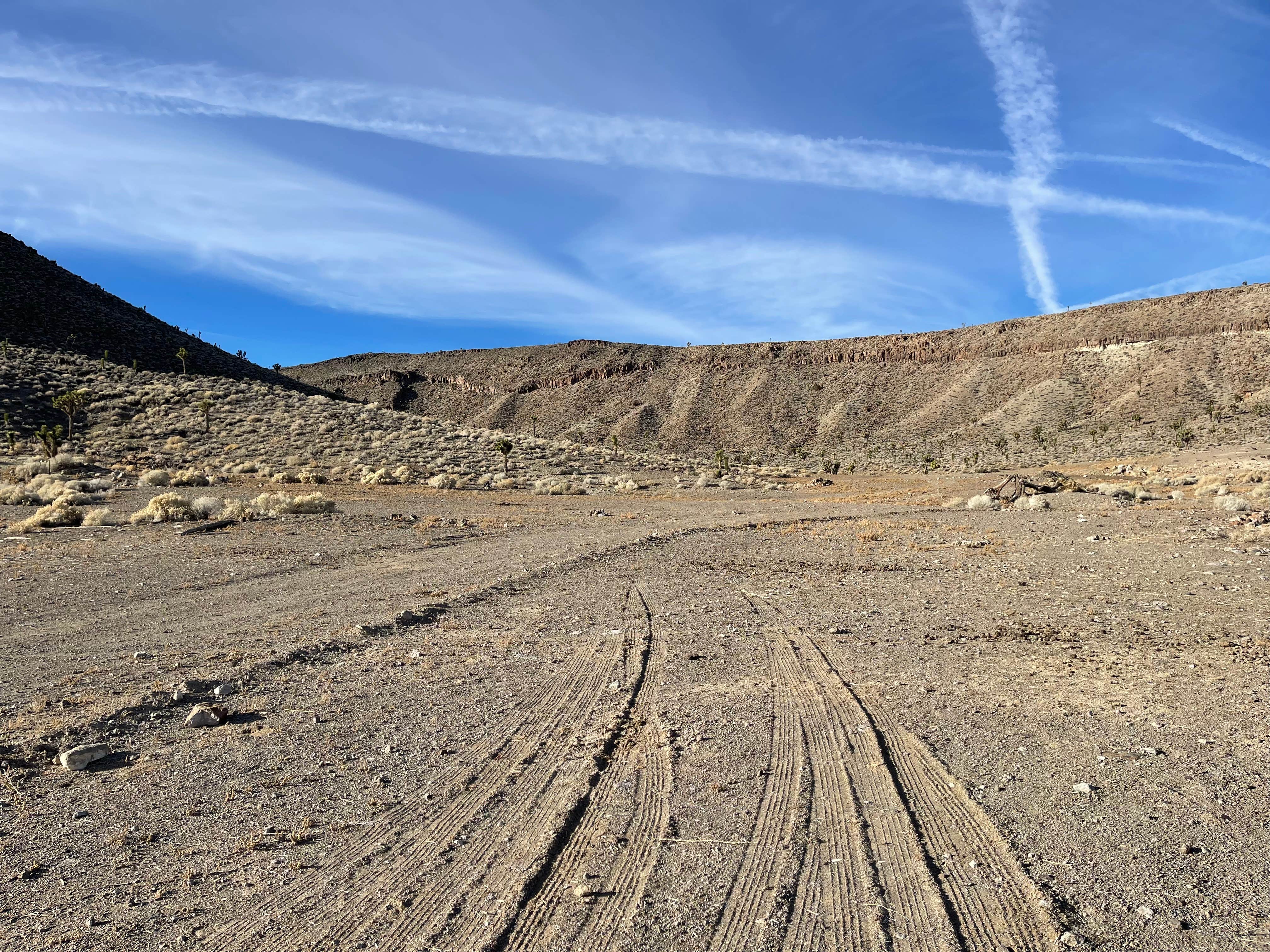 Camper-submitted photo at Spring Rd. Dispersed near Tonopah, NV