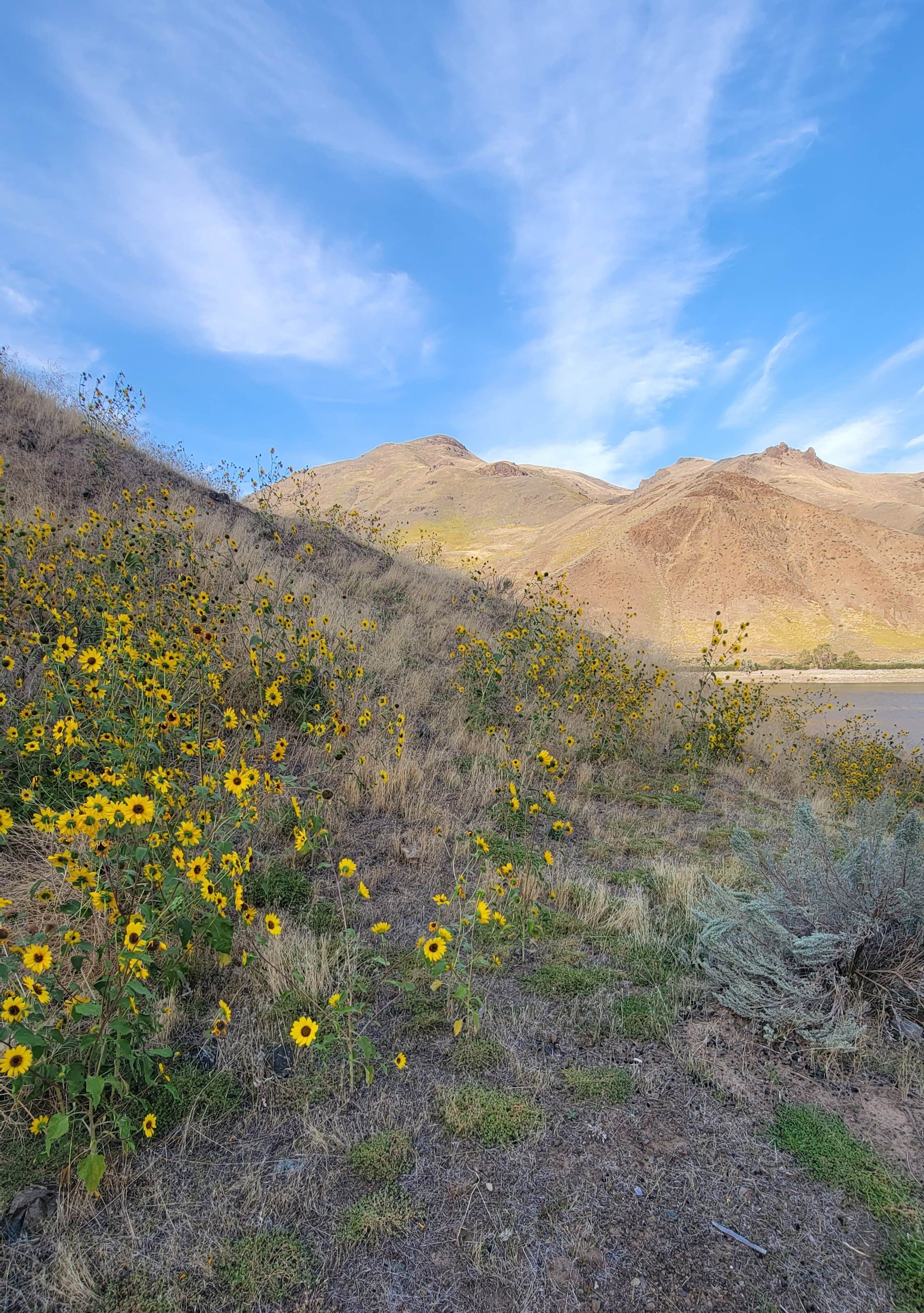 Camper-submitted photo at Spring Recreation Site near Huntington, OR
