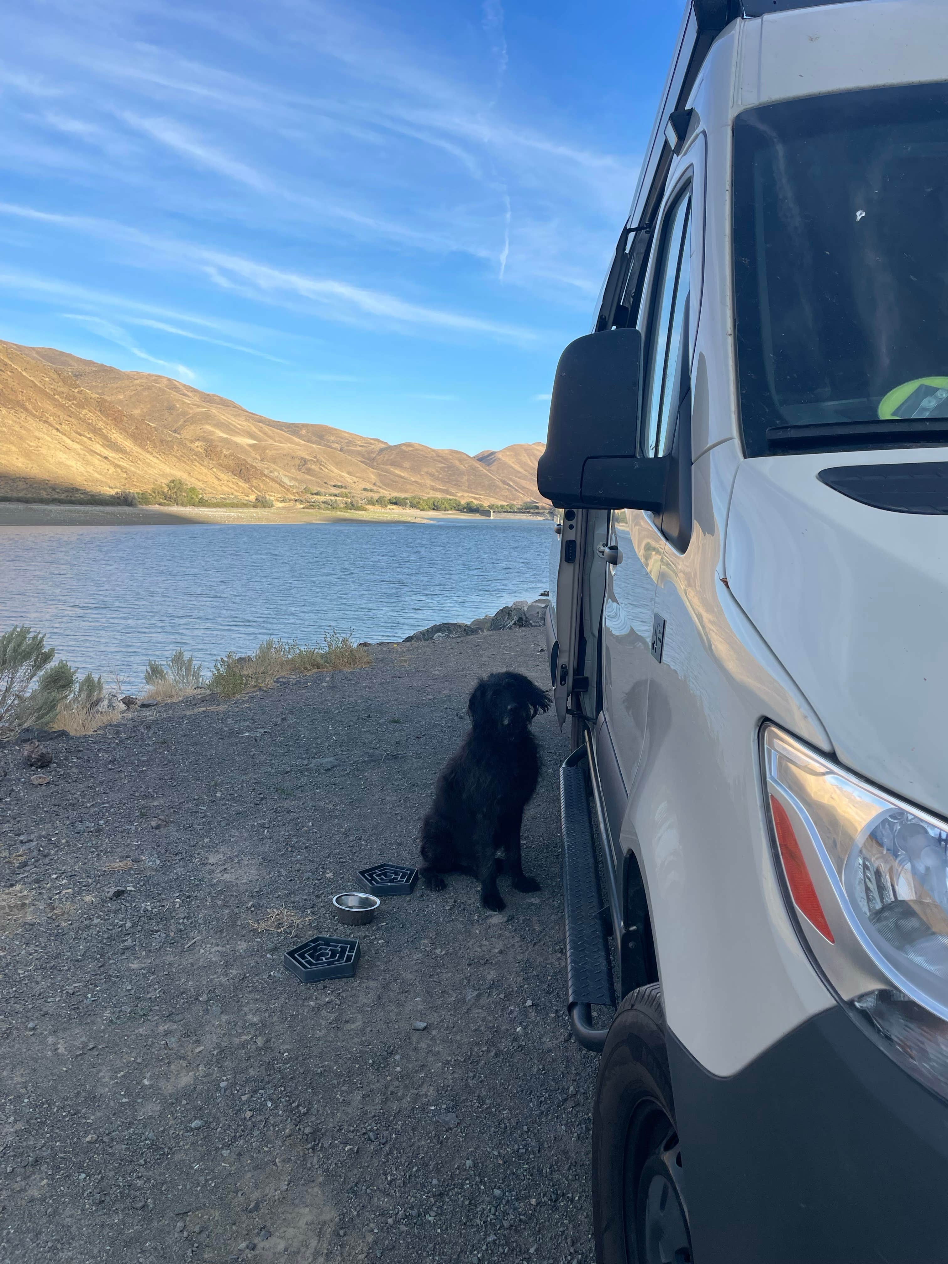 Paul L.'s photo of camping with pets at Spring Recreation Site near Richland, OR