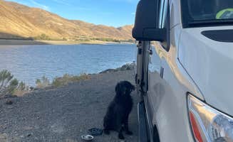 Paul L.'s photo of camping with pets at Spring Recreation Site near Nyssa, OR