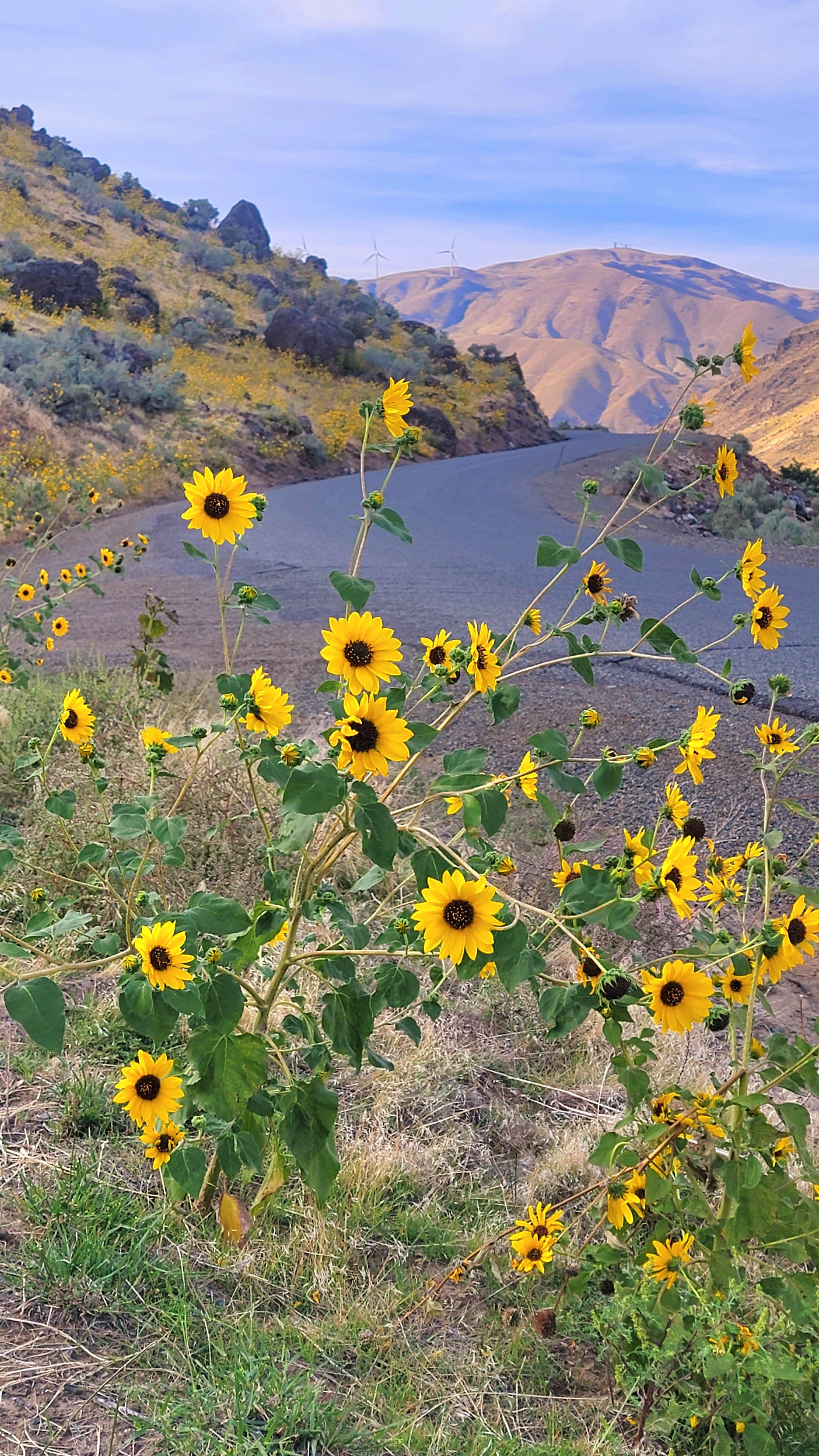 Camper-submitted photo at Spring Recreation Site near Huntington, OR