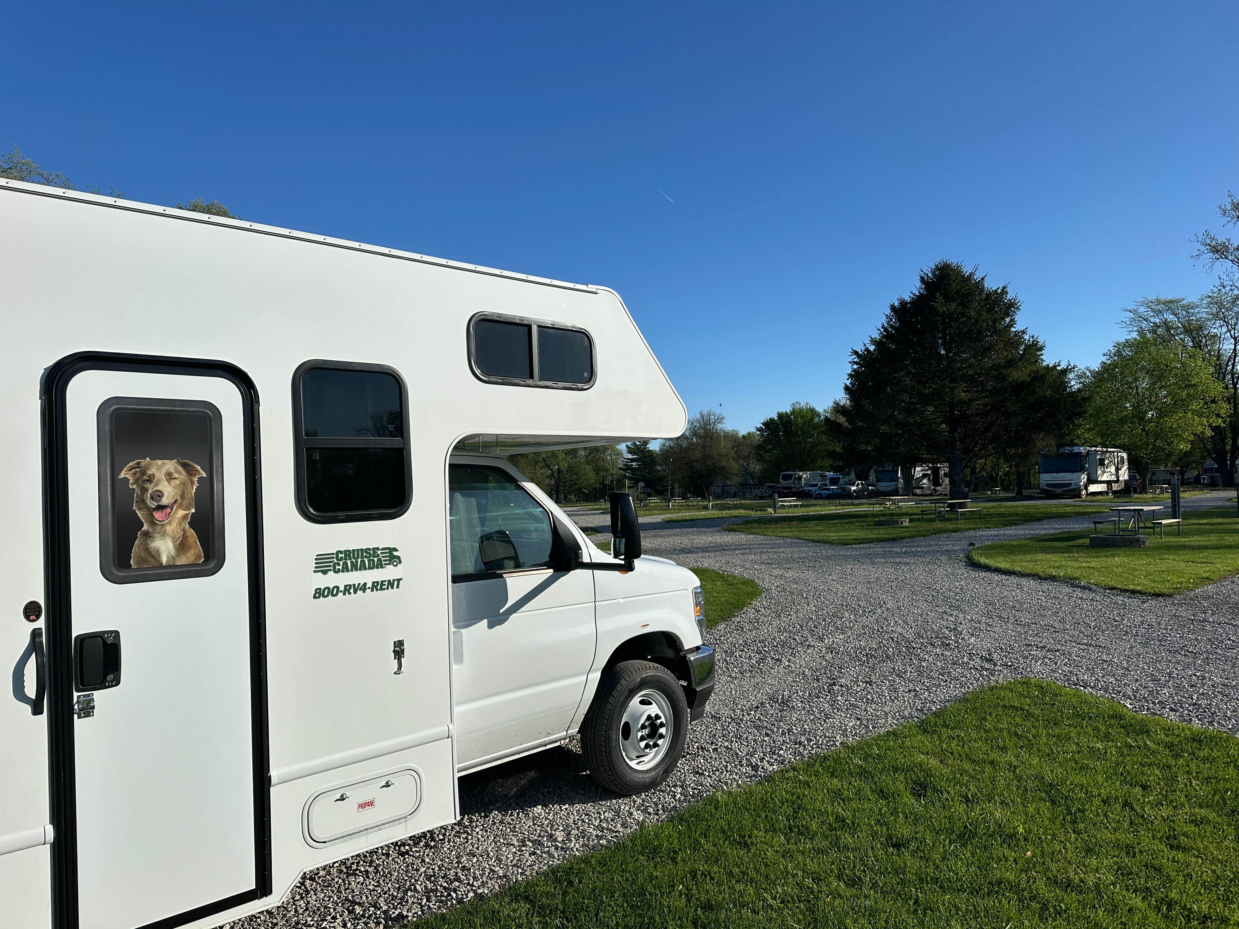 Vincent L.'s photo of camping with pets at Springfield KOA near Ramsey, IL
