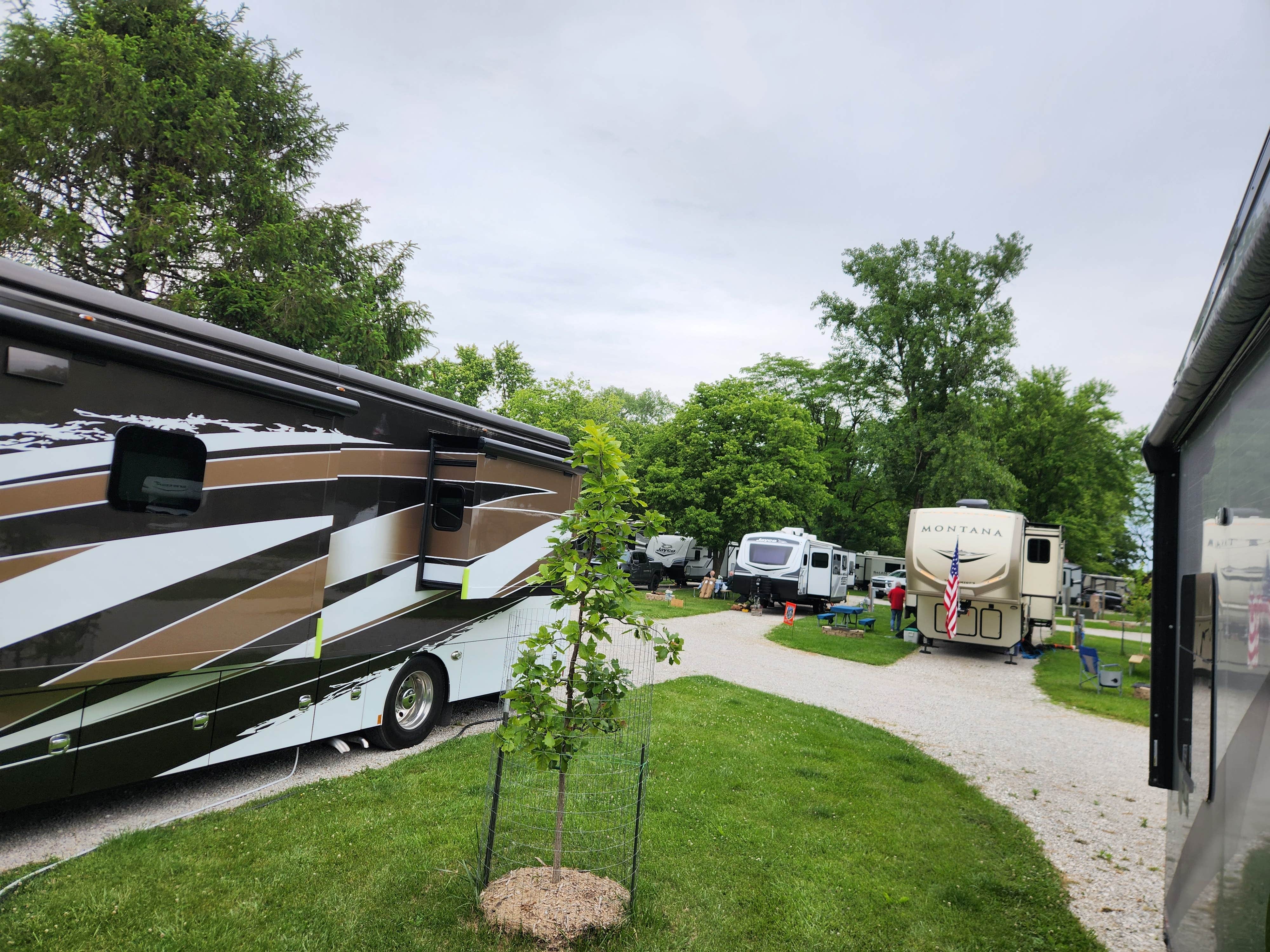 Camper-submitted photo at Springfield KOA near Hillsboro, IL