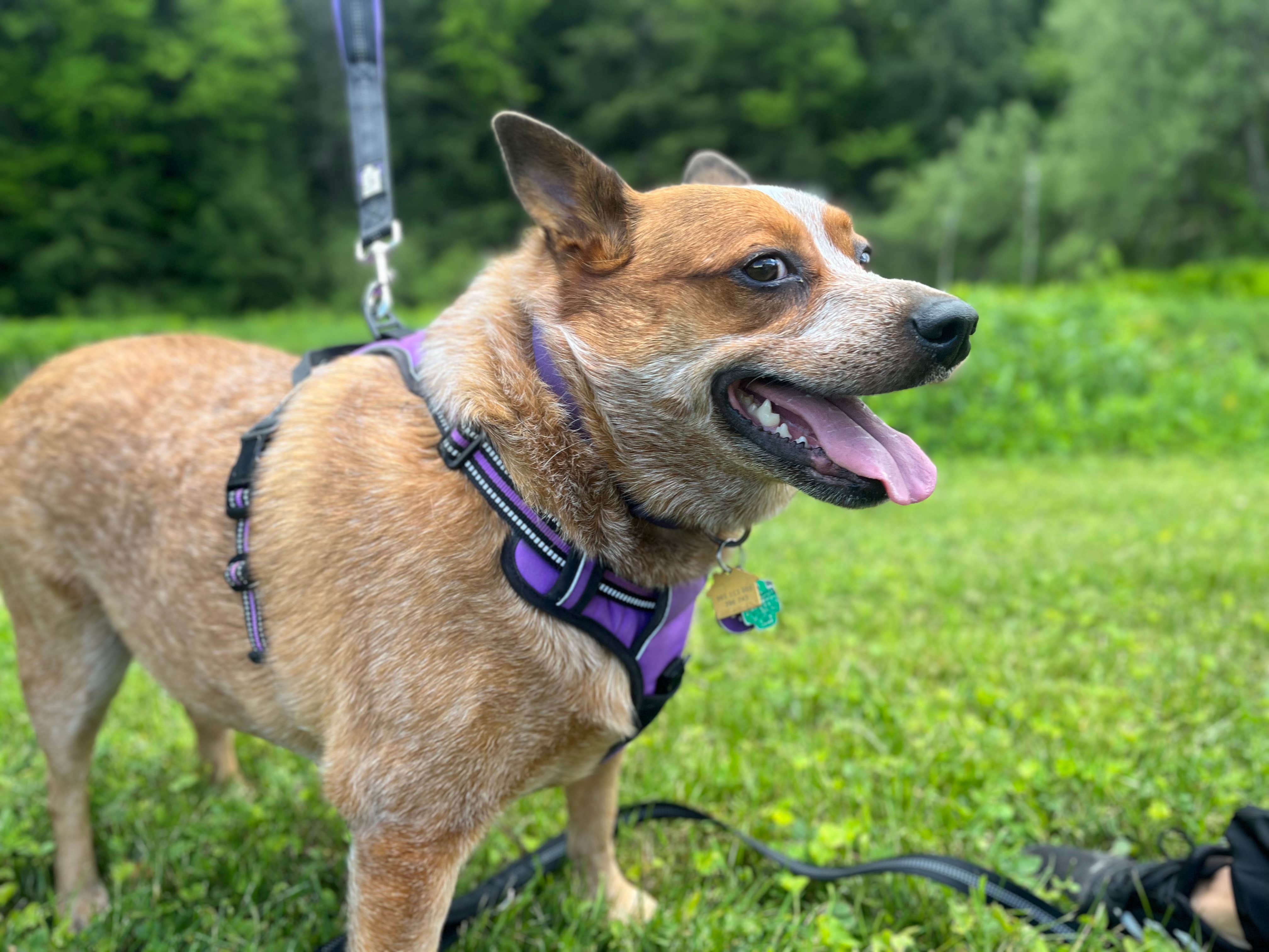 Camper-submitted photo at Spruce Creek Campground near Warnerville, NY