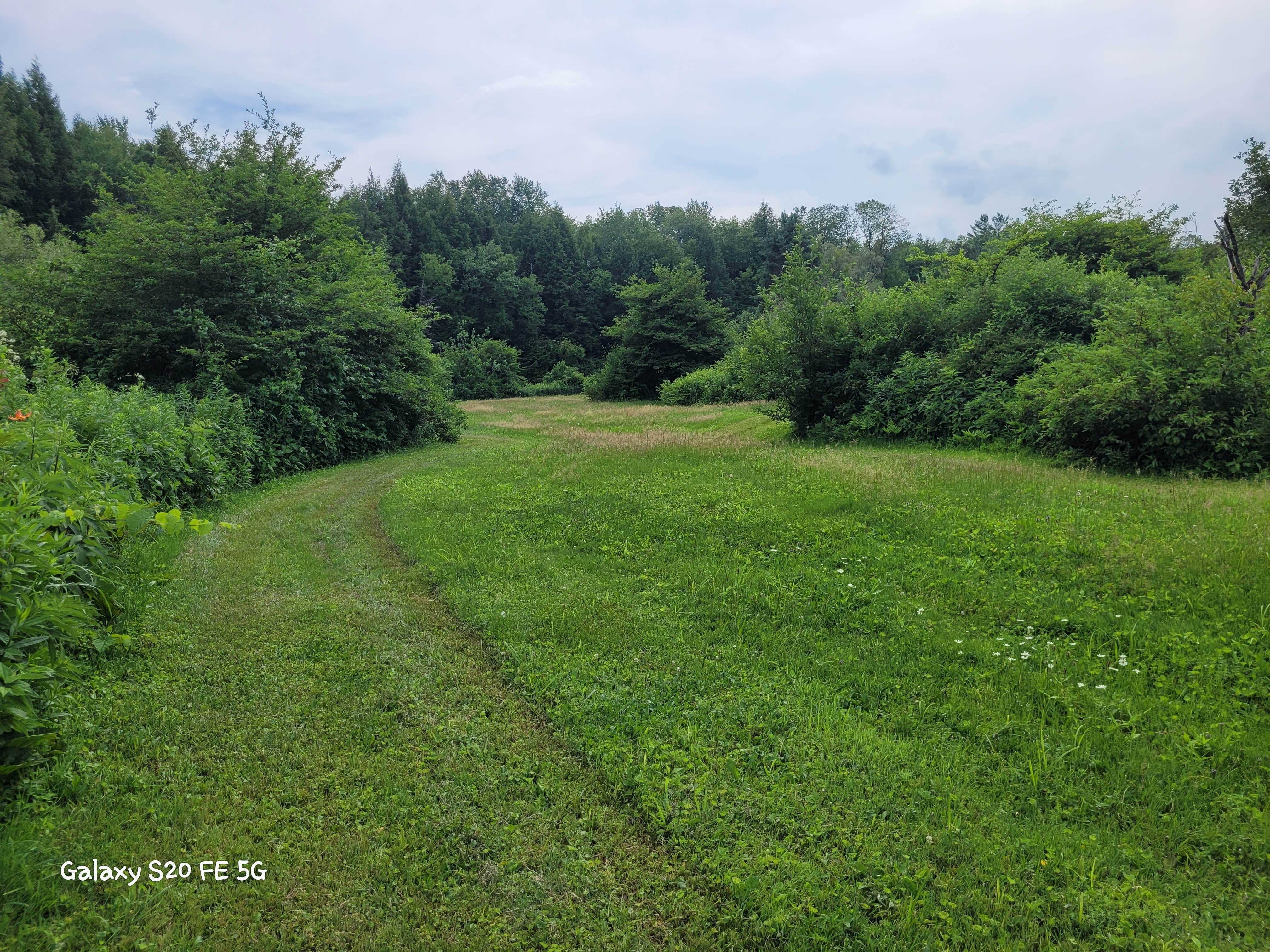 Camper-submitted photo at Spruce Creek Campground near Barneveld, NY