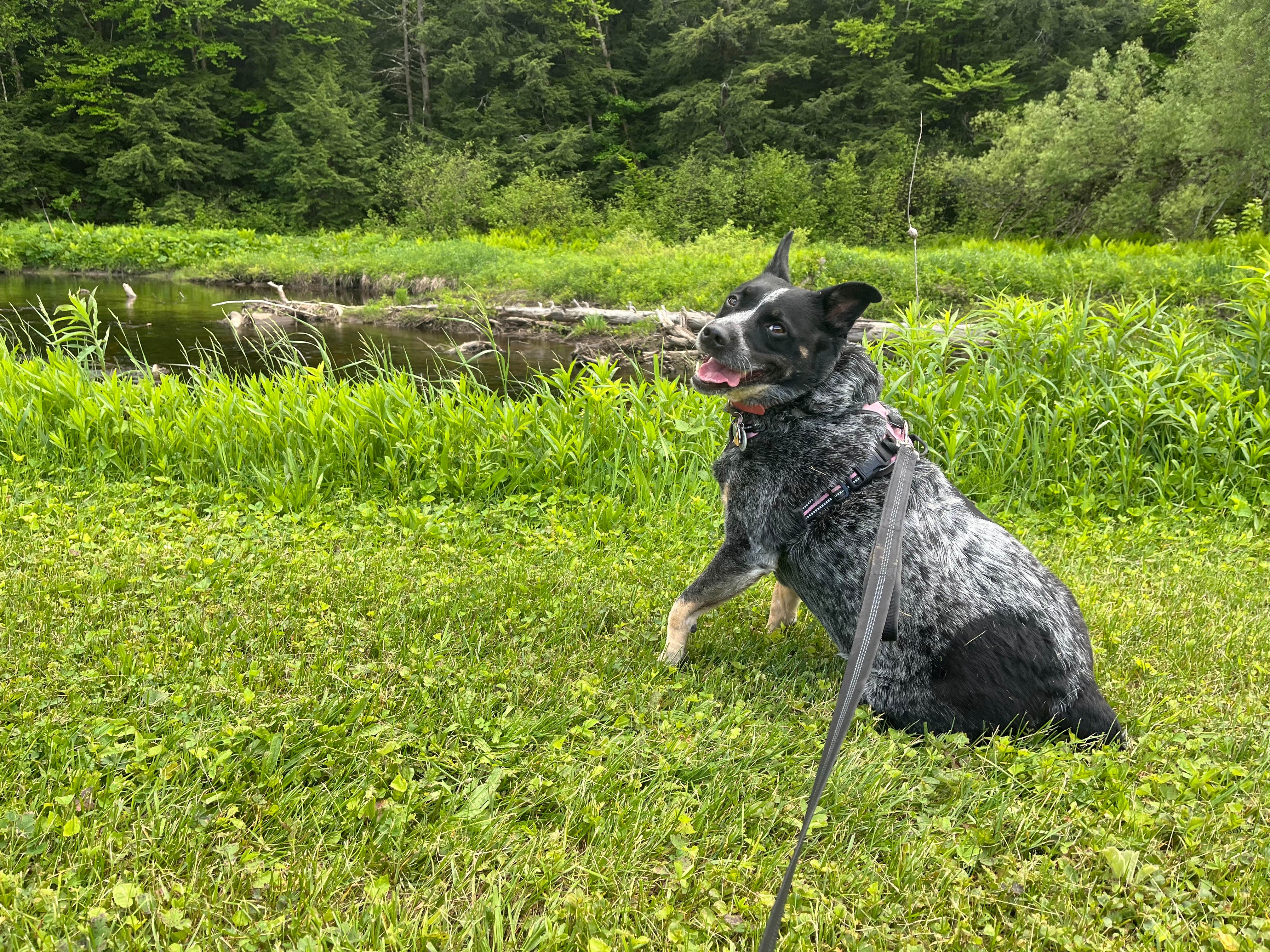 Camper-submitted photo at Spruce Creek Campground near Warnerville, NY