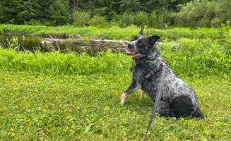 Wyndie G.'s photo of camping with pets at Spruce Creek Campground near Verona Beach, NY