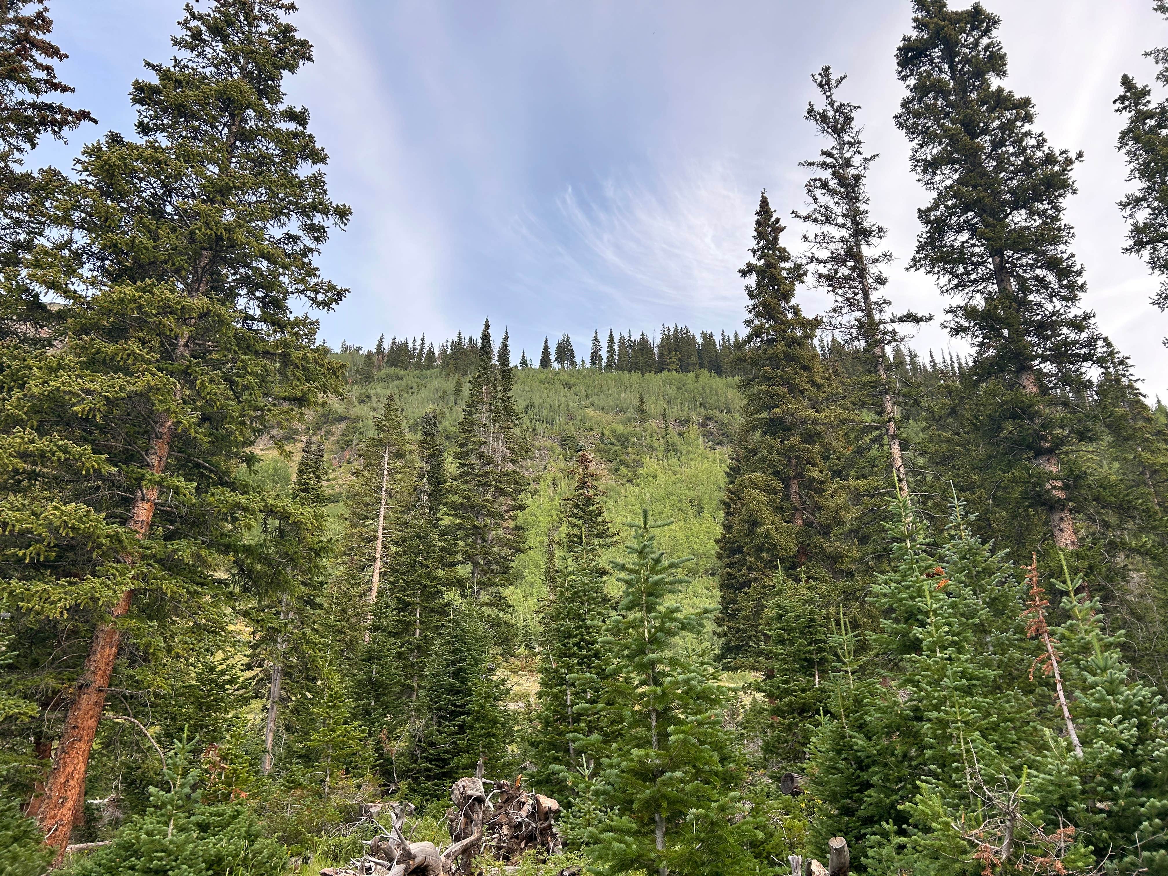 Camper-submitted photo at Spruce Creek/Crystal Creek Designated Dispersed Camping near Dillon, CO