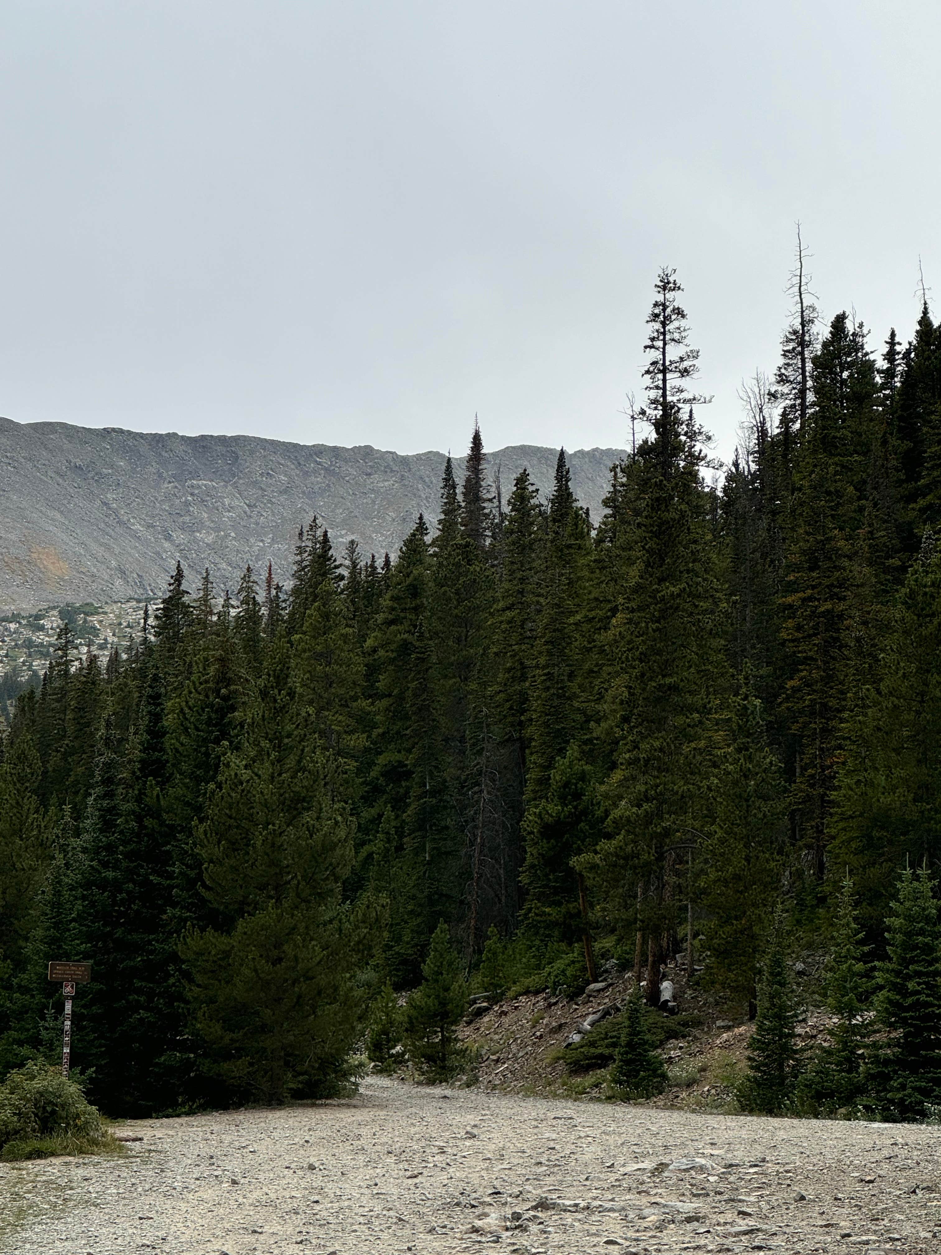 Camper-submitted photo at Spruce Creek/Crystal Creek Designated Dispersed Camping near Dillon, CO