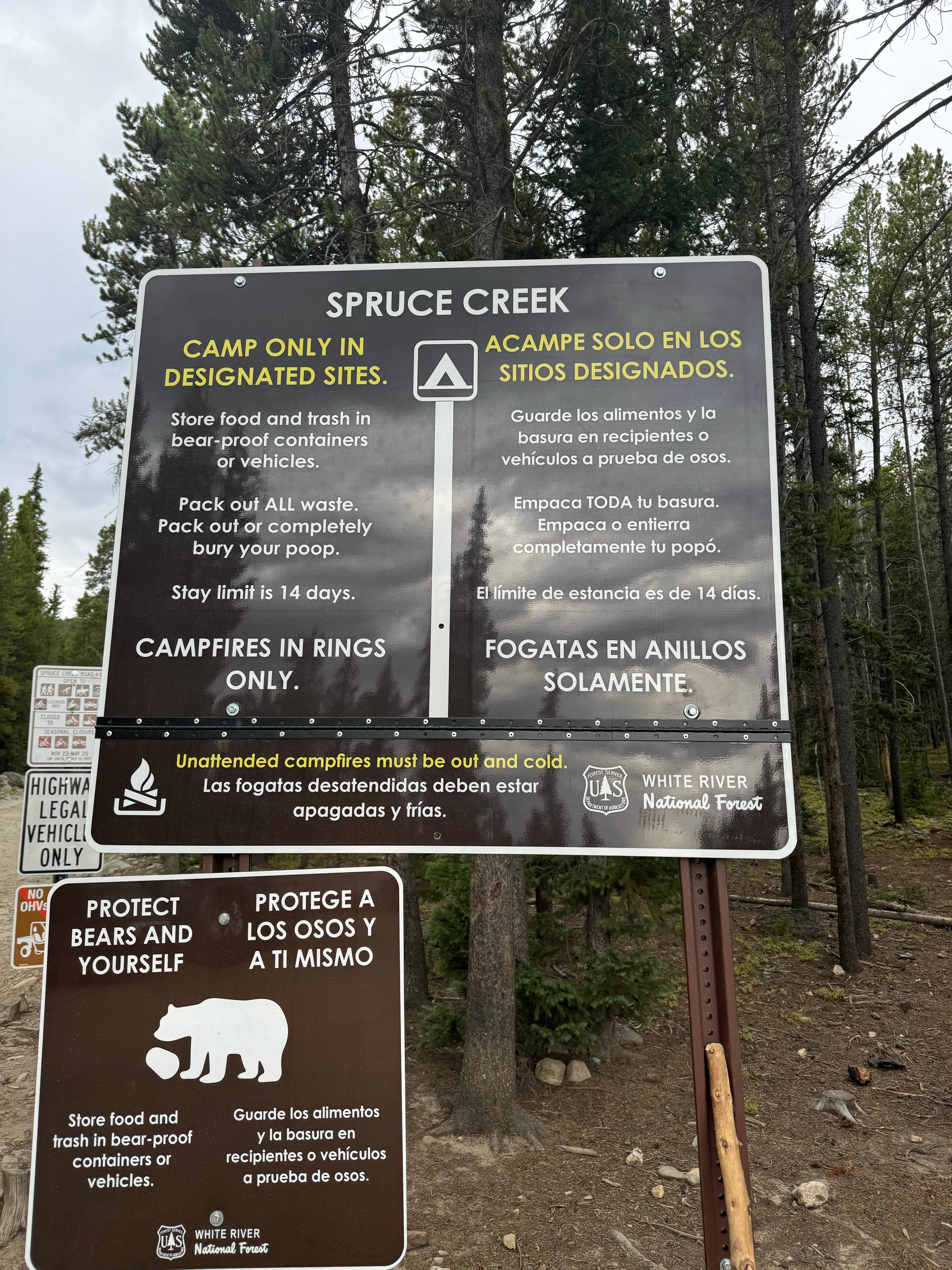 Camper submitted image from Spruce Creek/Crystal Creek Designated Dispersed Camping - 5