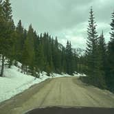 Review photo of Spruce Creek/Crystal Creek Designated Dispersed Camping by Nora S., June 3, 2025