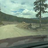 Review photo of Spruce Creek/Crystal Creek Designated Dispersed Camping by Nora S., June 3, 2025