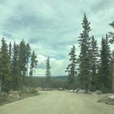 Review photo of Spruce Creek/Crystal Creek Designated Dispersed Camping by Nora S., June 3, 2025