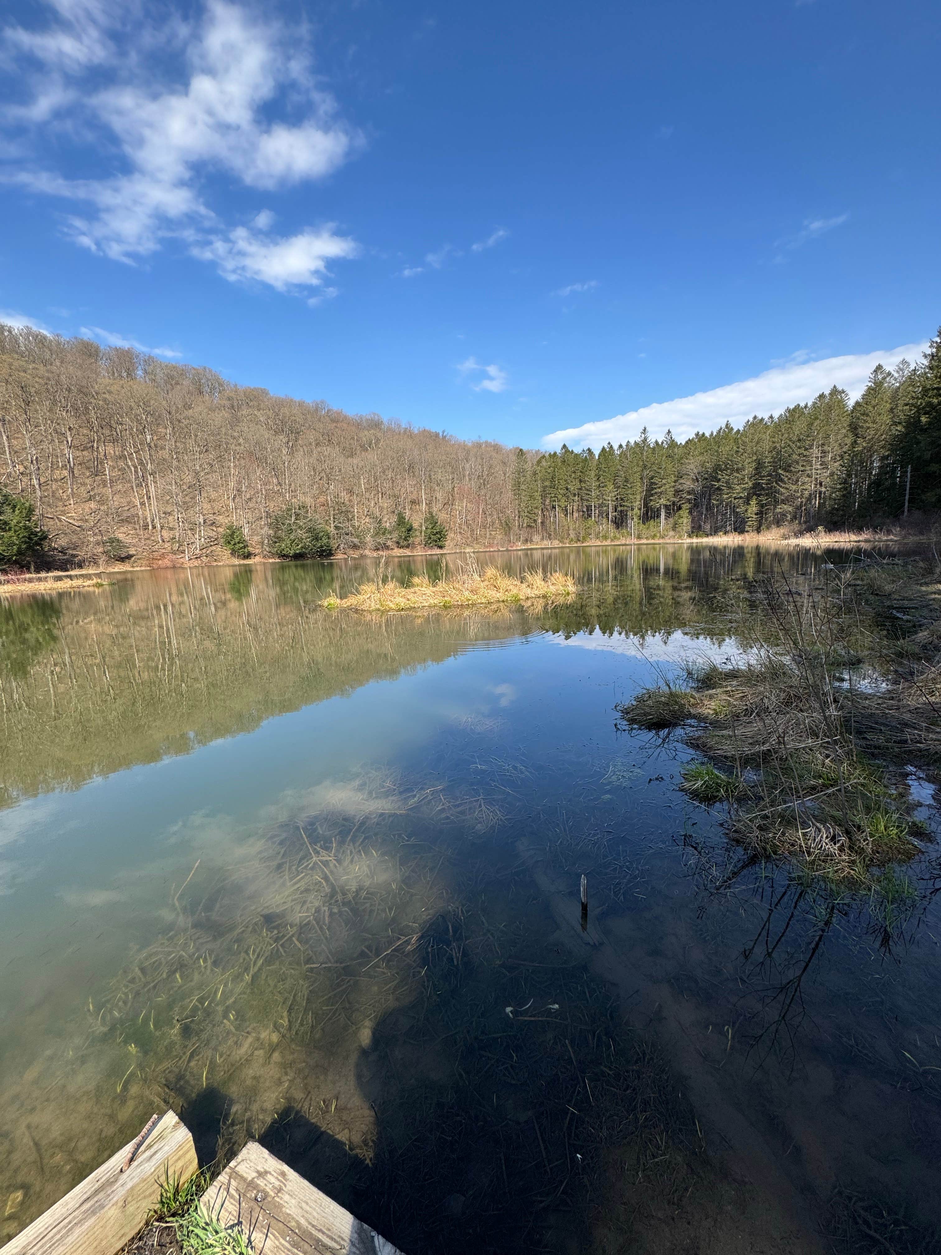 Camper-submitted photo at Spruce Pond Camping Area - Morgan Hill State Forest near New Woodstock, NY