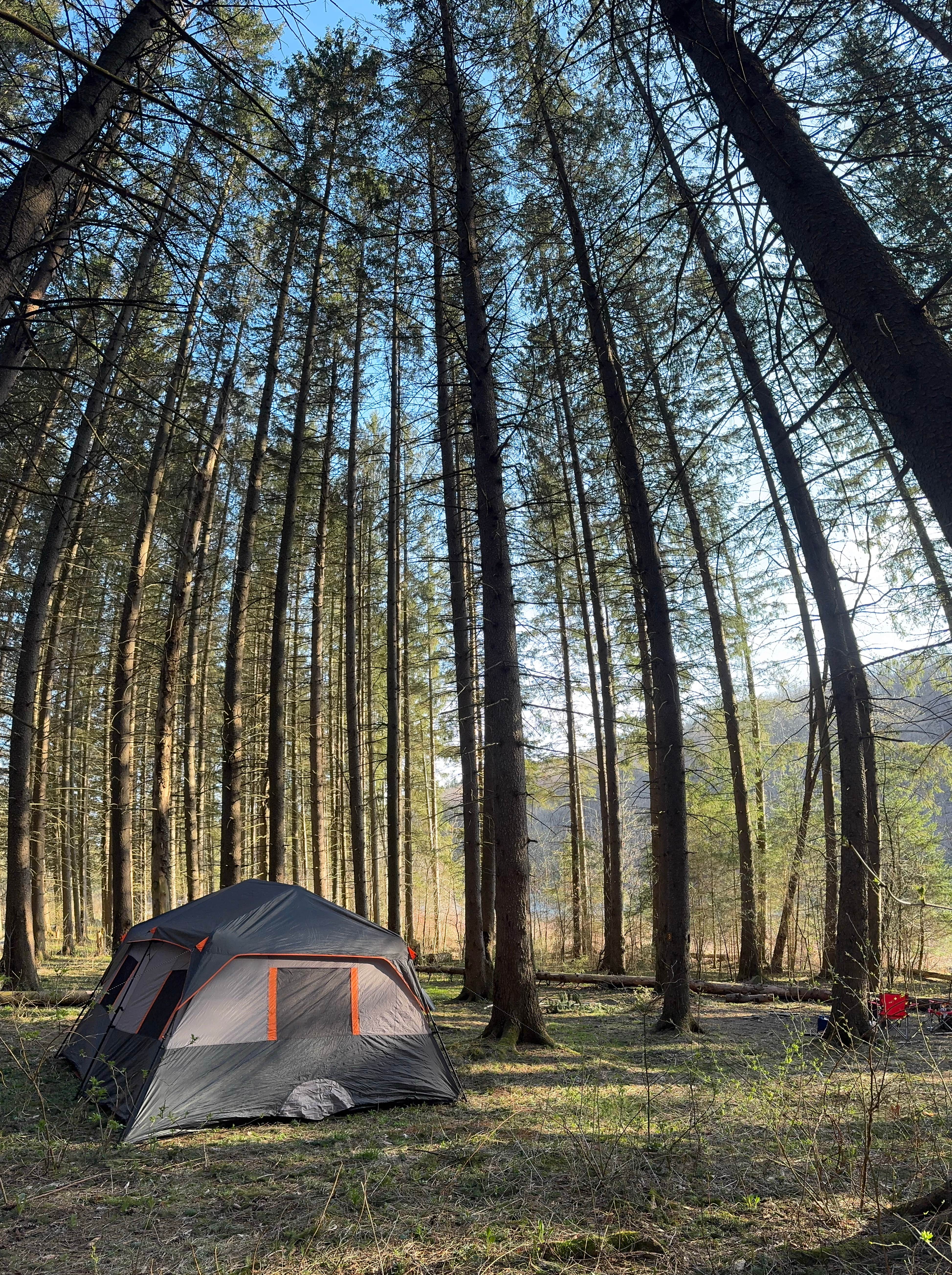 Camper submitted image from Spruce Pond Camping Area - Morgan Hill State Forest - 1
