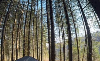 Neil L.'s photo at Spruce Pond Camping Area - Morgan Hill State Forest near Apulia Station, NY