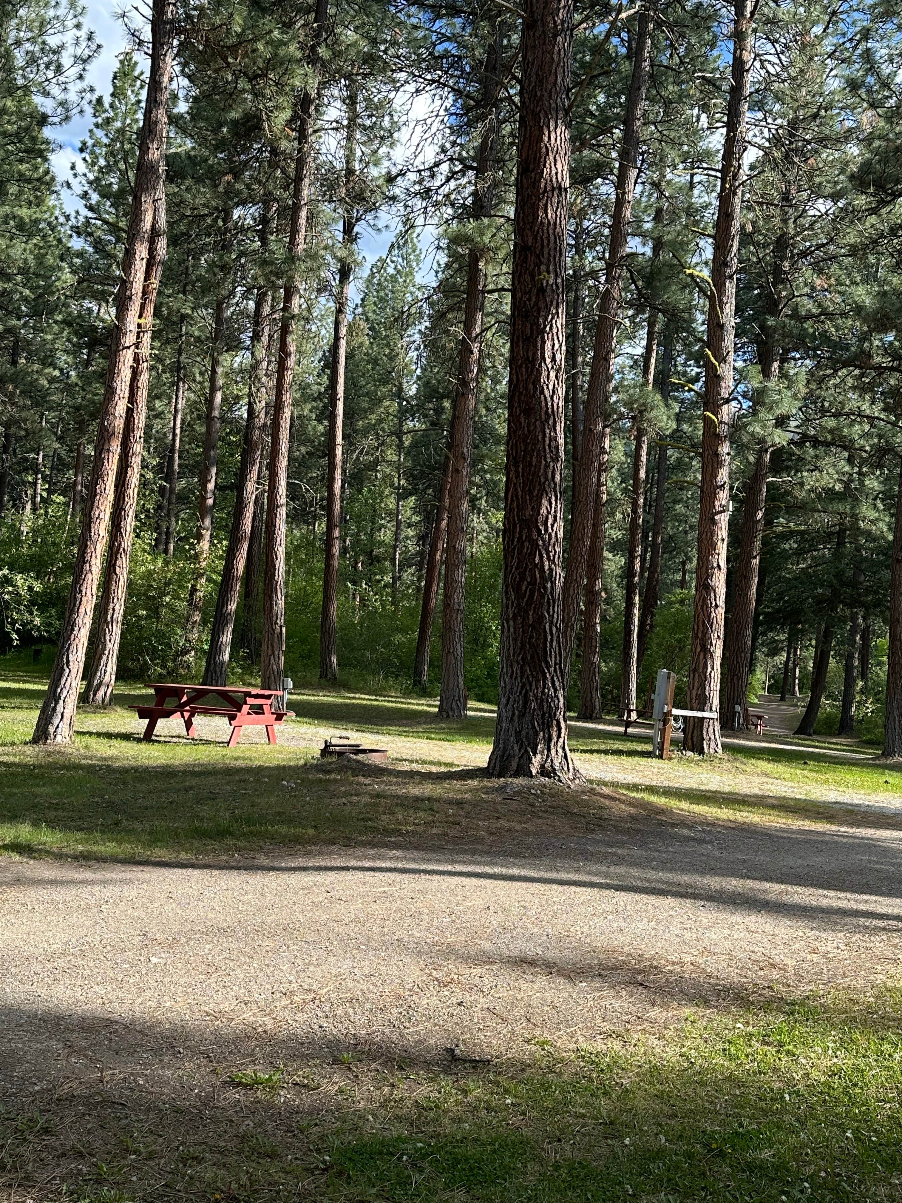 Camper-submitted photo at Yellowrock Campground near Lolo, MT