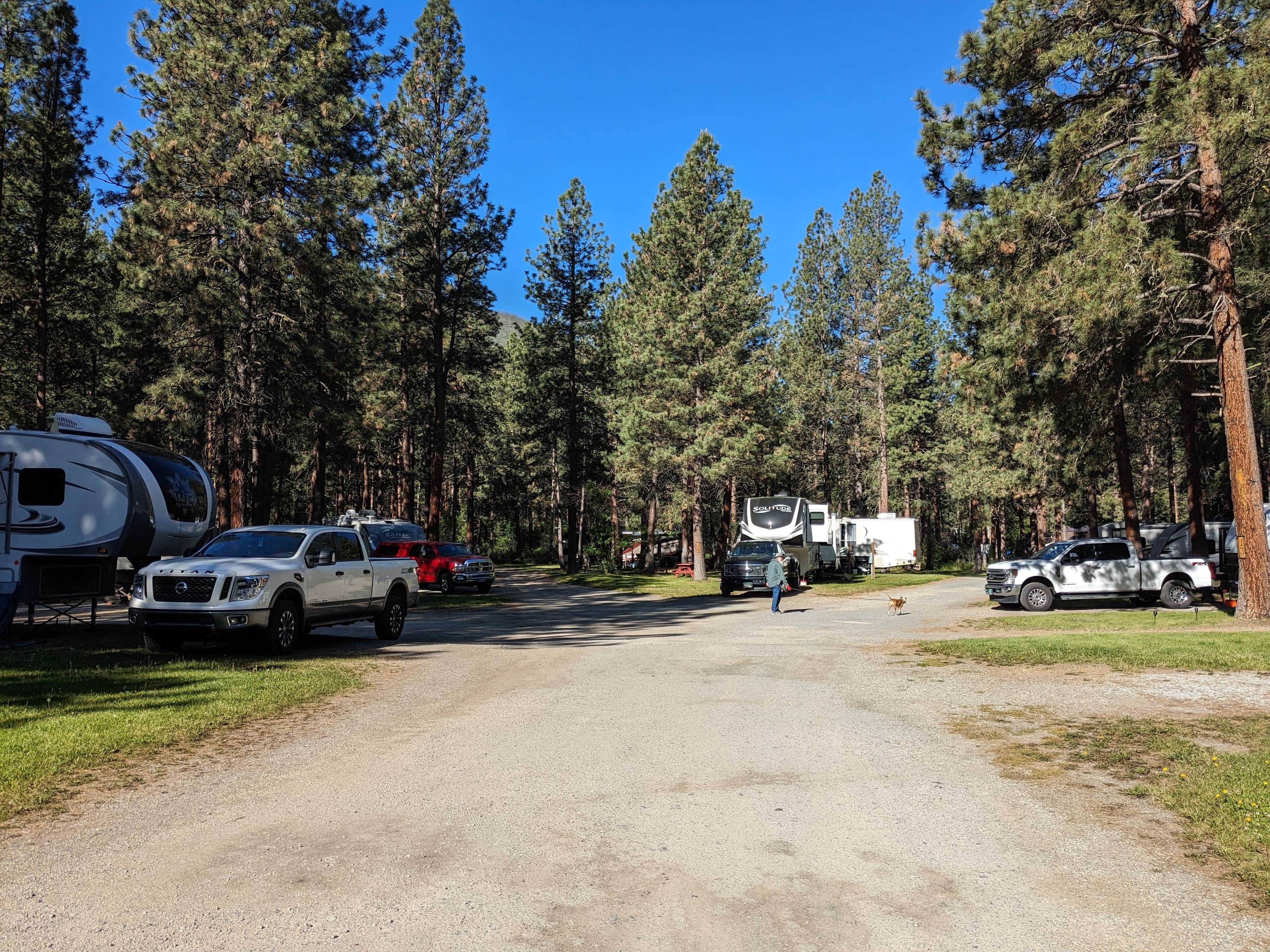 DL M.'s photo of camping with pets at Yellowrock Campground near Missoula, MT