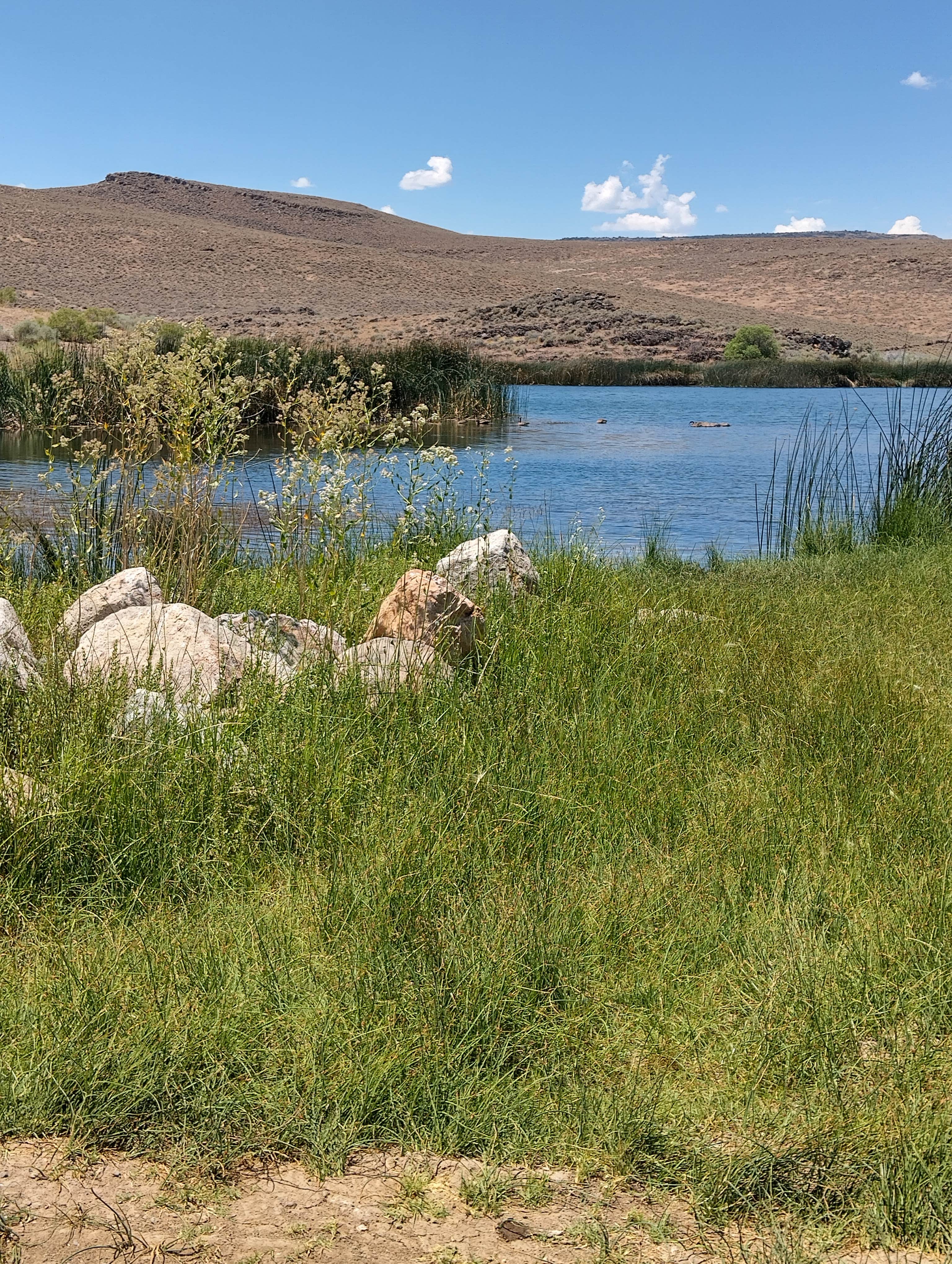 Karla R.'s photo of a dispersed camping area at Squaw Valley Reservoir near Gerlach, NV