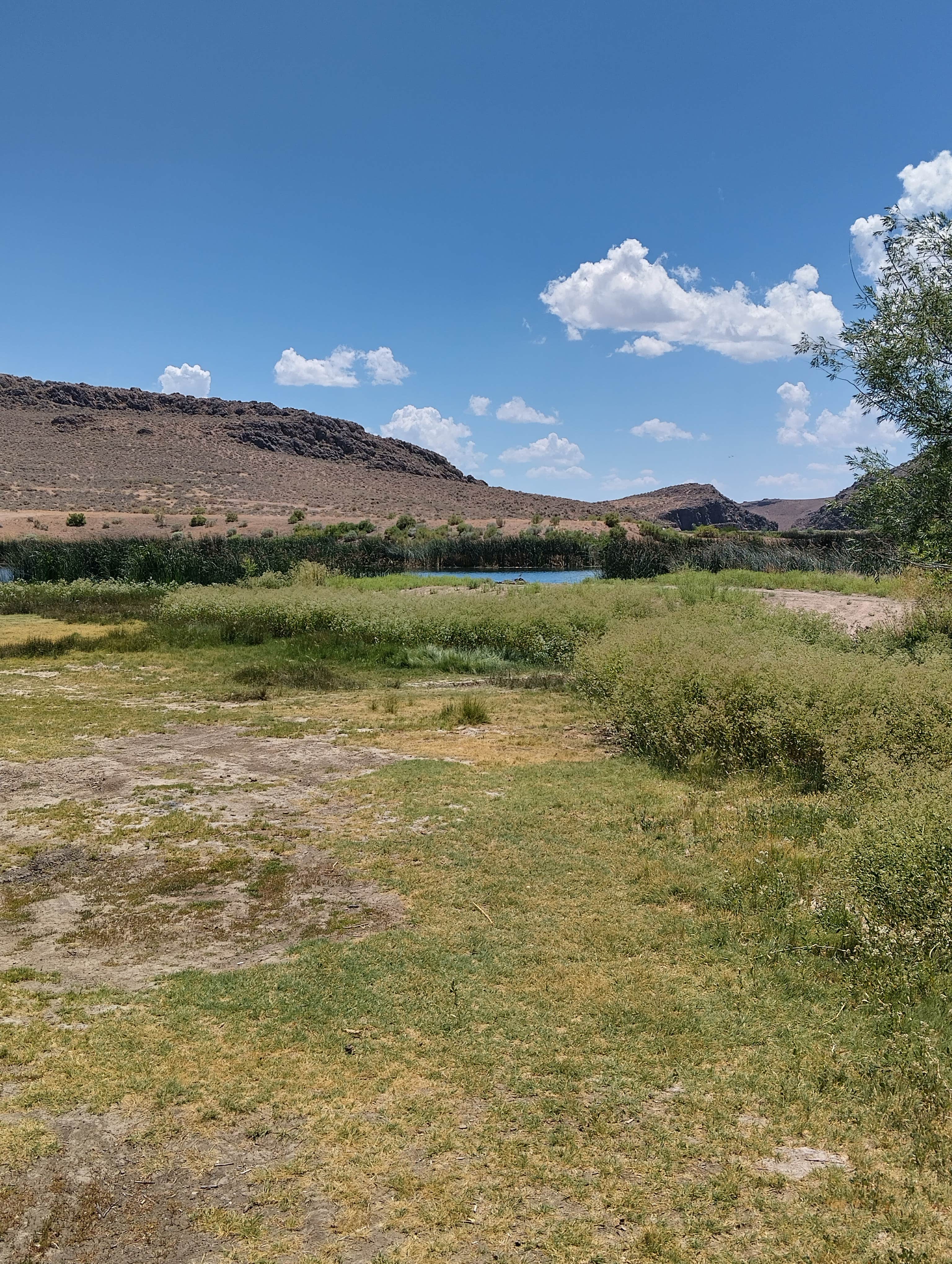 Camper submitted image from Squaw Valley Reservoir - 1