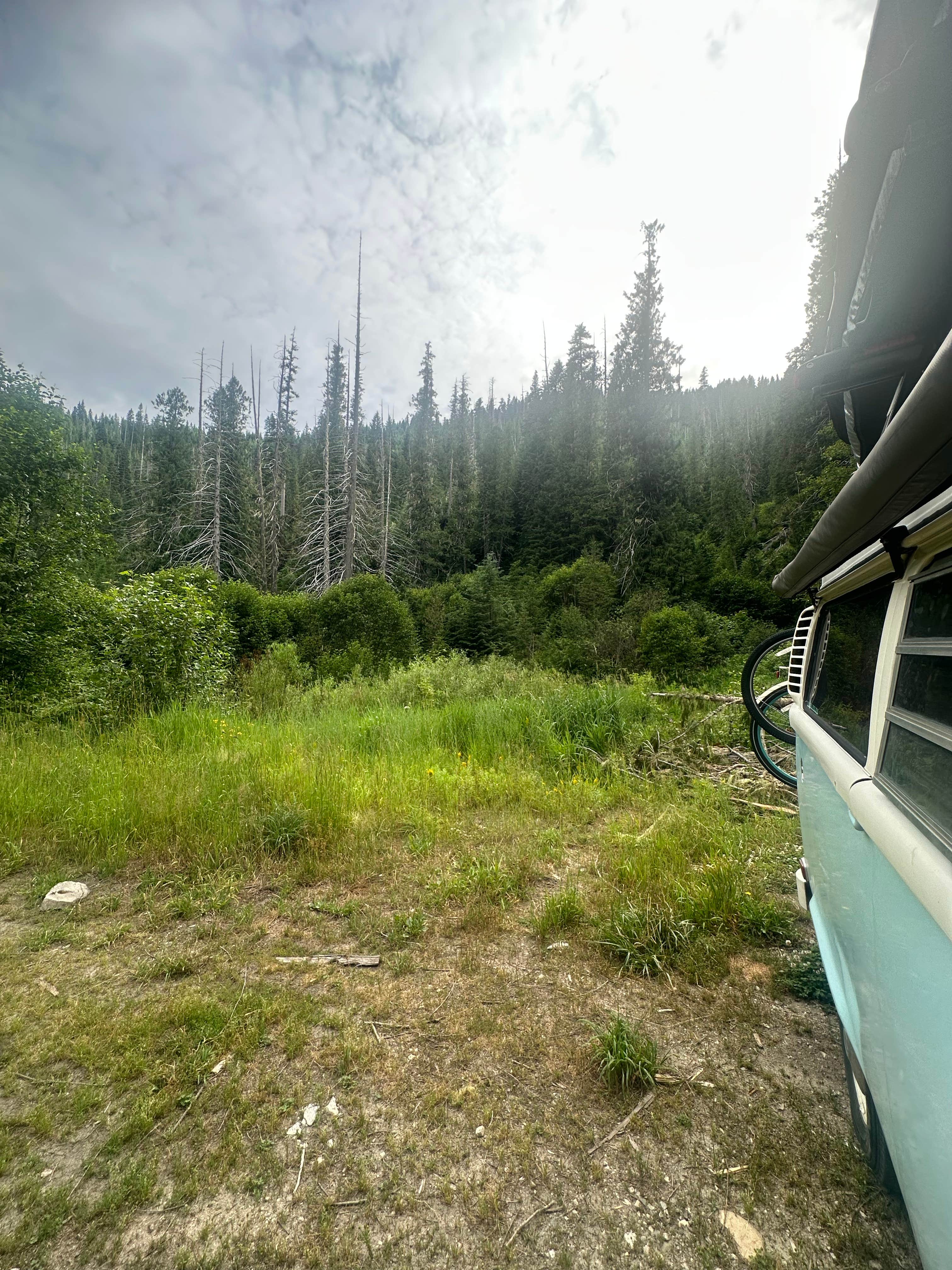 Camping near White Sand Forest Service Campground: Squaw Creek Road, Pinesdale, Idaho