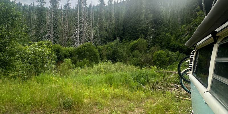 Camper submitted image from Squaw Creek Road