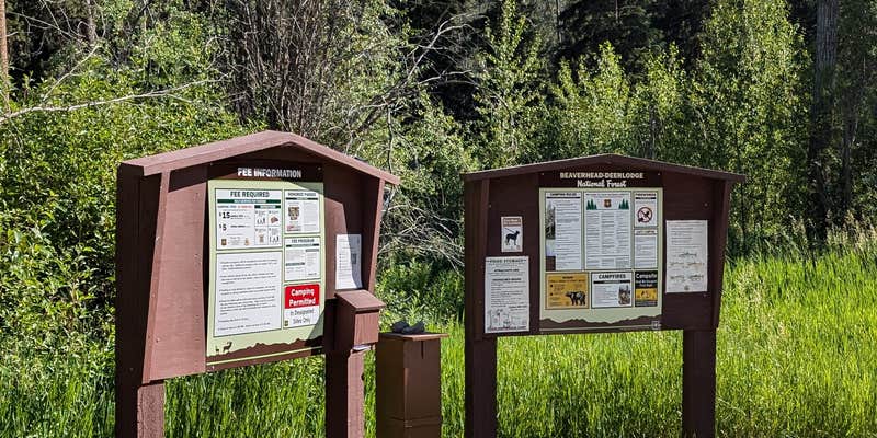 Camper submitted image from Stony Campground