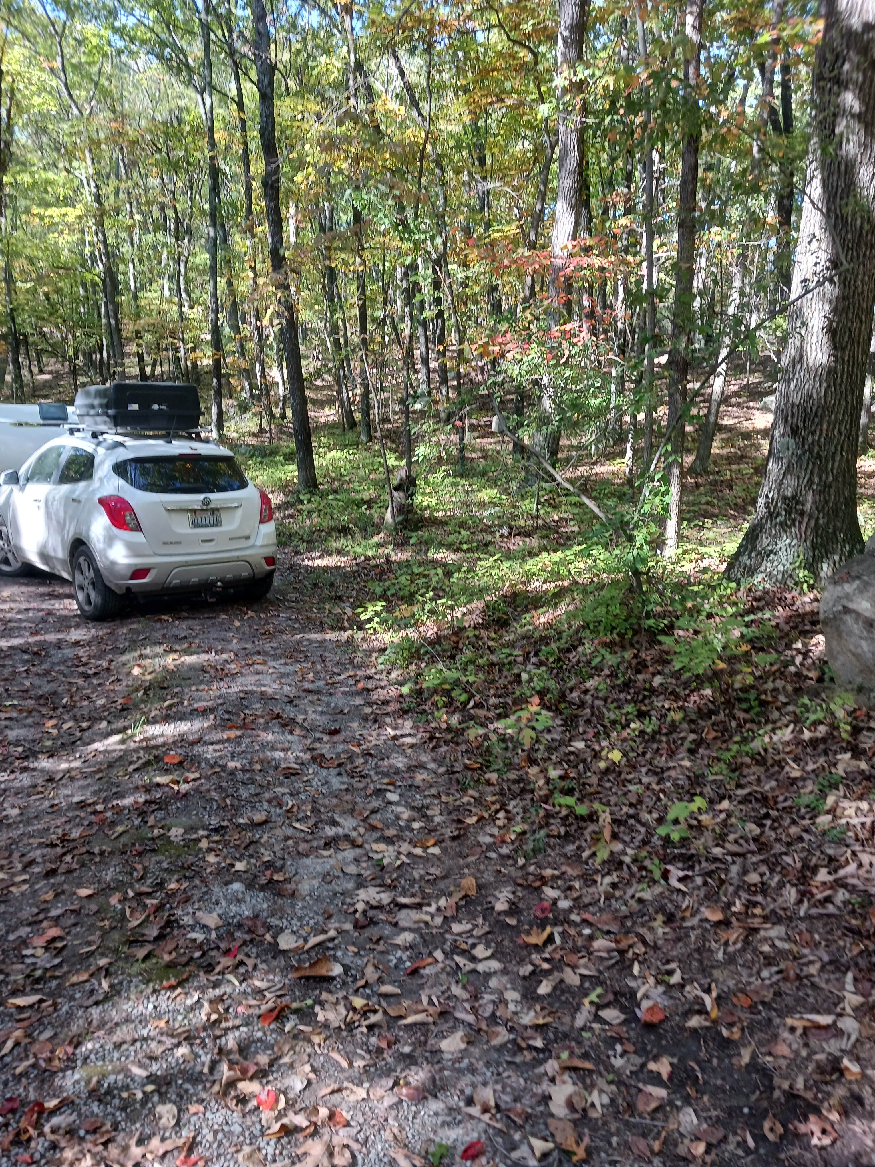 Camper-submitted photo at Squirrel Hollow Road Camping near Rippon, WV