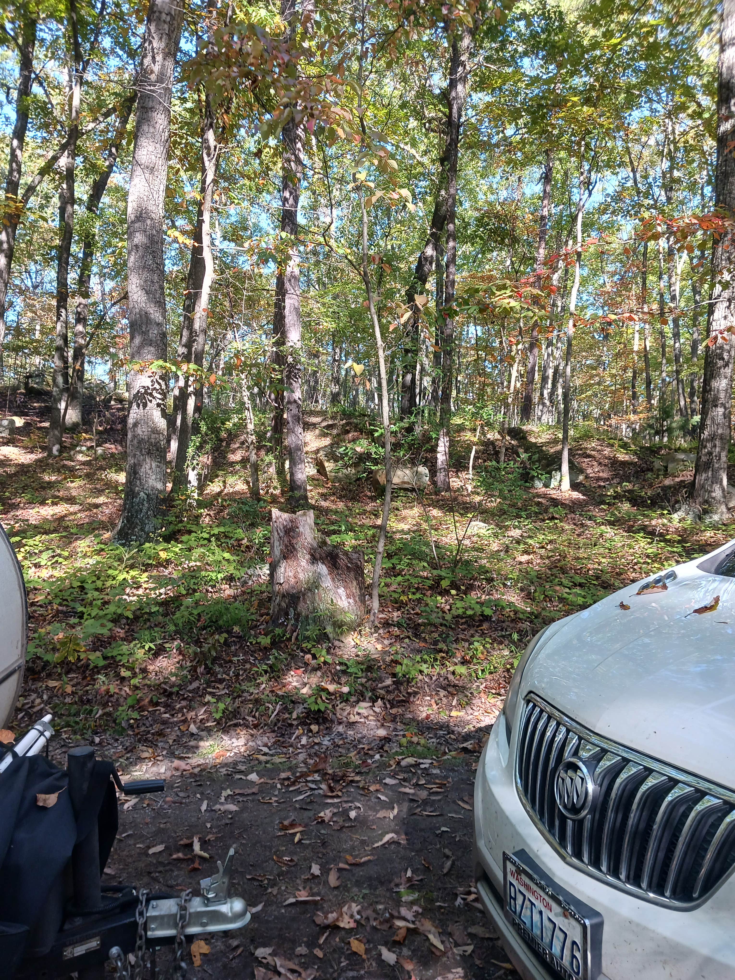 Camper-submitted photo at Squirrel Hollow Road Camping near Rippon, WV