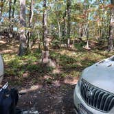 Review photo of Squirrel Hollow Road Camping by Kevin C., October 9, 2024