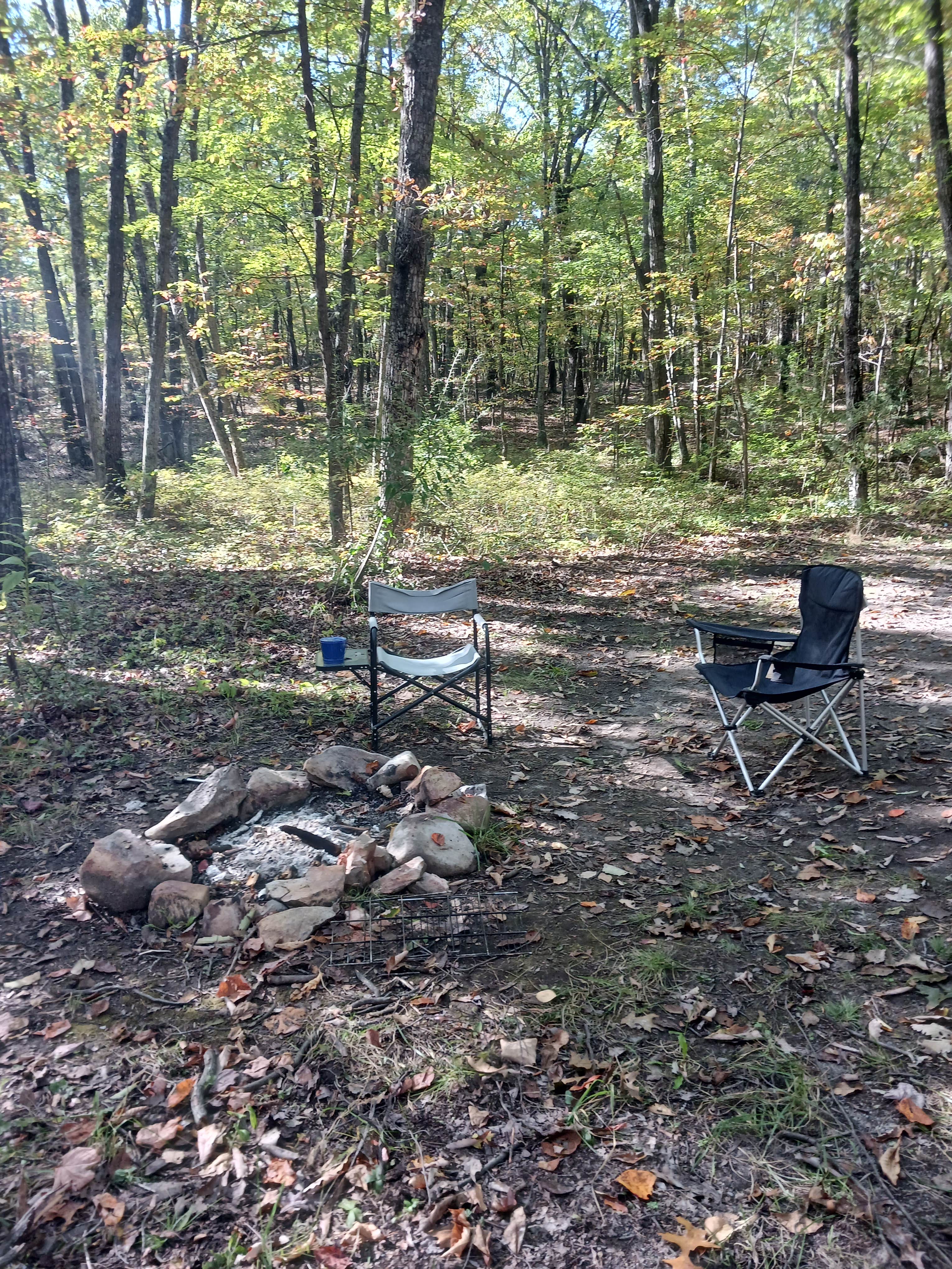 Camper submitted image from Squirrel Hollow Road Camping - 1