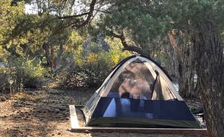 Didelhie's photo at St. Andrews State Park Campground near Youngstown, FL
