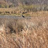 Review photo of St. Andrews State Park Campground by Richard F., December 23, 2024