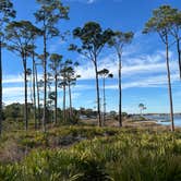 Review photo of St. Andrews State Park Campground by Ursula , January 14, 2026