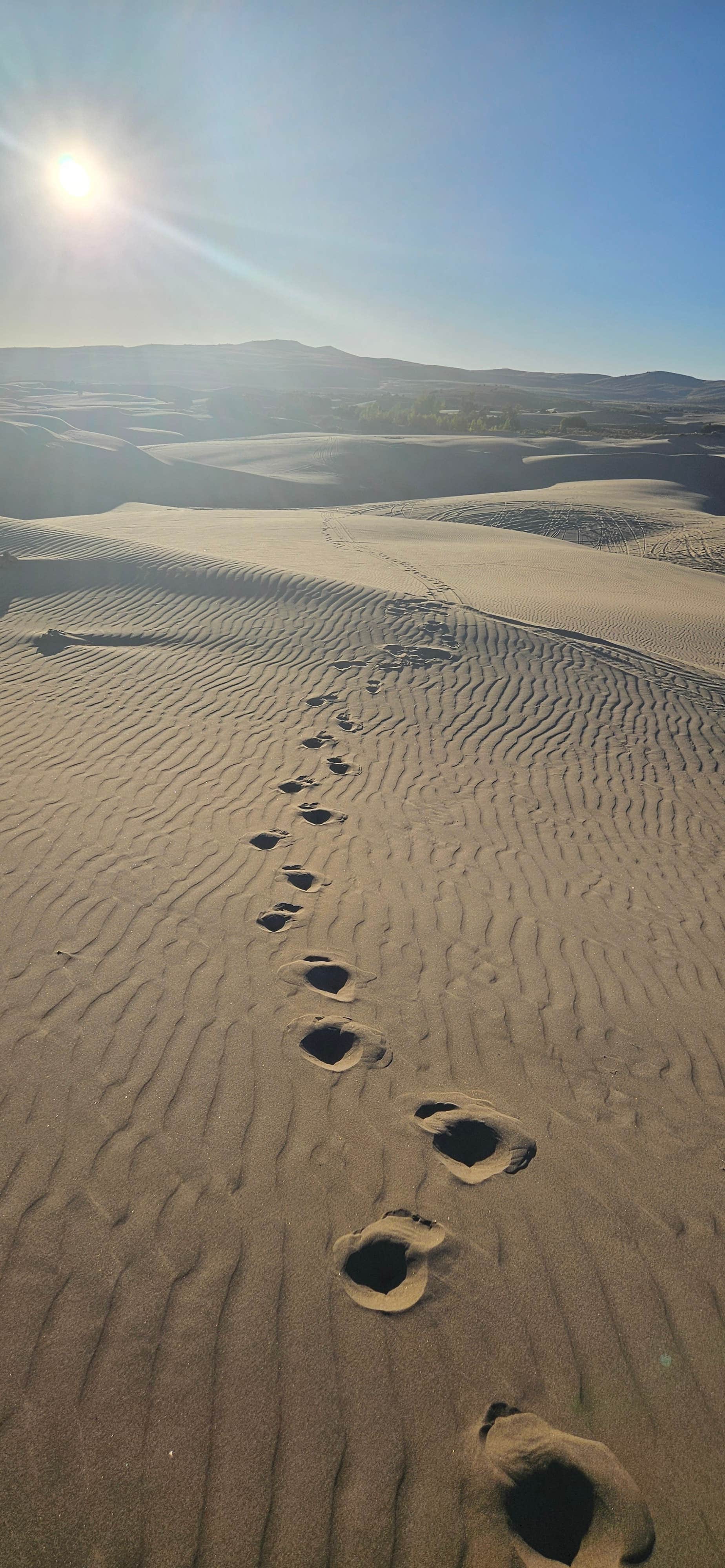 Camper submitted image from St Anthony Dunes - 1