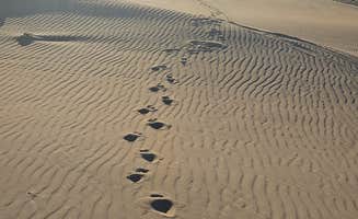 Mike C.'s photo of a dispersed camping area at St Anthony Dunes near Dubois, ID