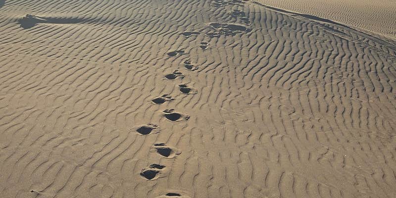 Camper submitted image from St Anthony Dunes