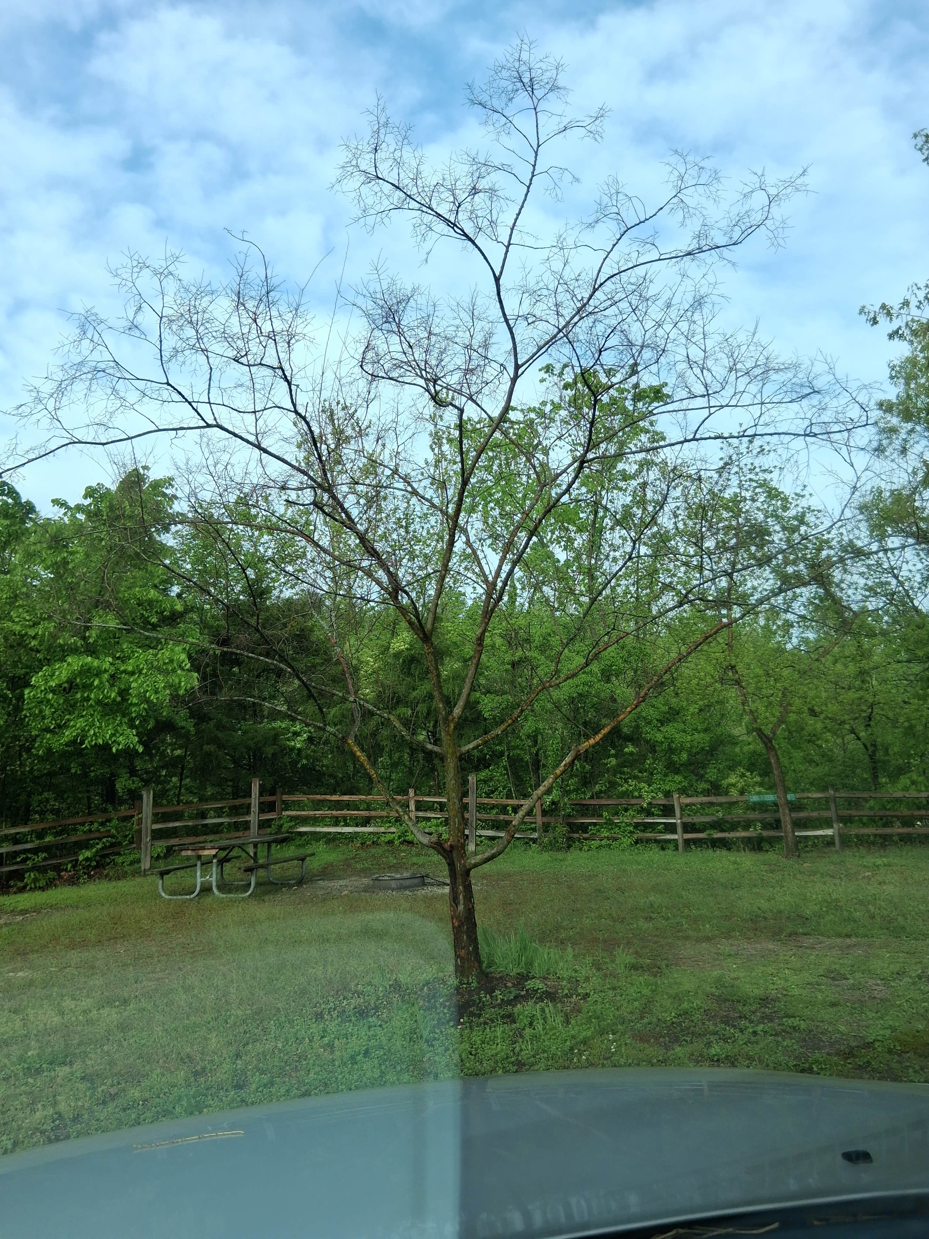 Camper-submitted photo at St. Charles County Klondike Park near St. Ann, MO