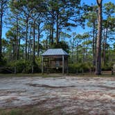 Review photo of Dr. Julian G. Bruce St. George Island State Park Campground by Colin R., October 11, 2025