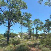 Review photo of Dr. Julian G. Bruce St. George Island State Park Campground by Becca S., July 15, 2025