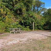 Review photo of Dr. Julian G. Bruce St. George Island State Park Campground by Colin R., October 11, 2025