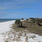 Review photo of T.H. Stone Memorial St. Joseph Peninsula State Park Campground by Colin R., December 26, 2024