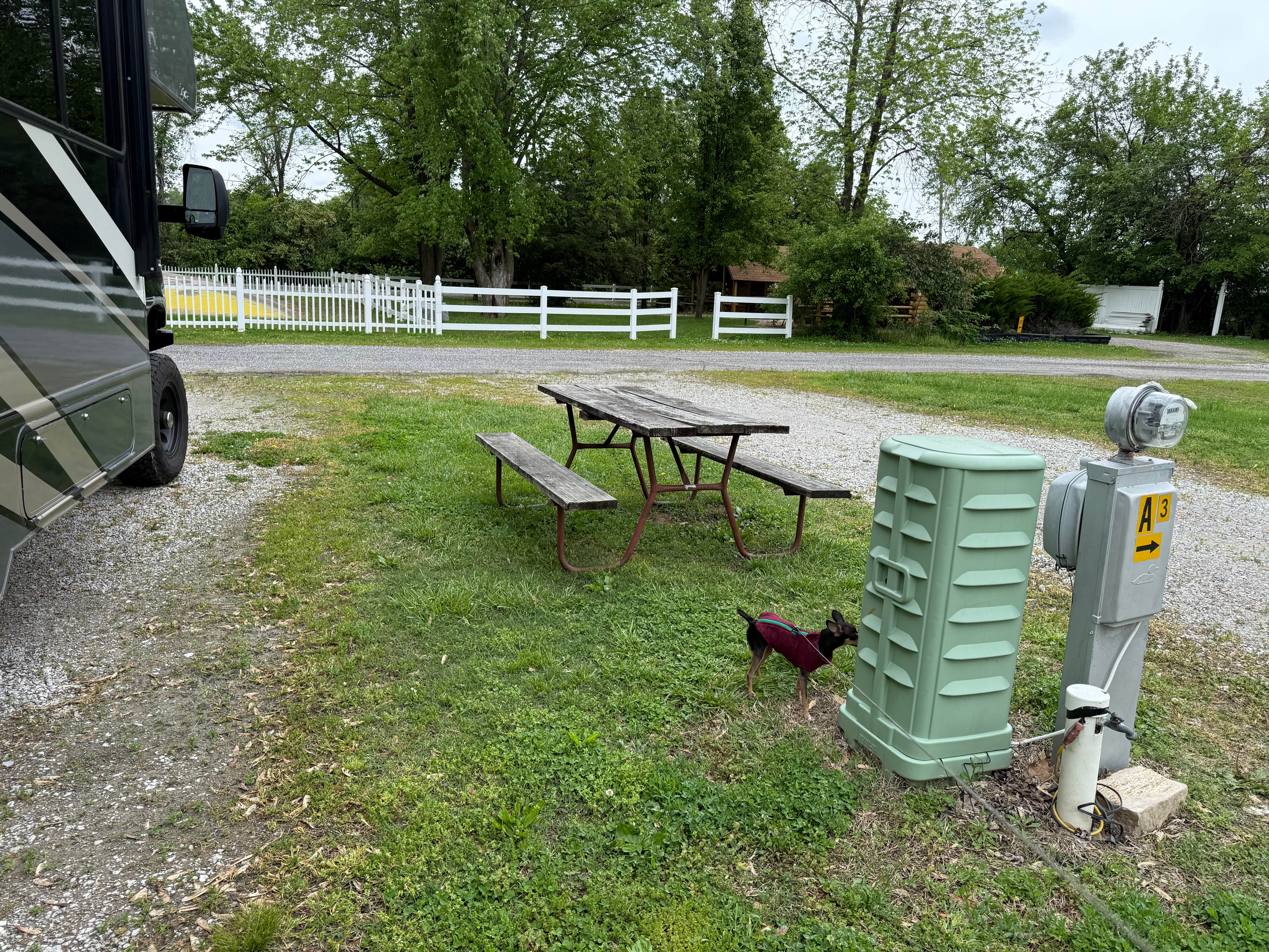 James P.'s photo of camping with pets at St. Louis NE-Granite City KOA near Glen Carbon, IL