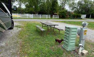 James P.'s photo of camping with pets at St. Louis NE-Granite City KOA near Alton, IL