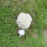 Review photo of St. Louis NE-Granite City KOA by James P., May 2, 2025