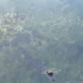 Review photo of Savannas Recreation Area by Corey S., May 16, 2026