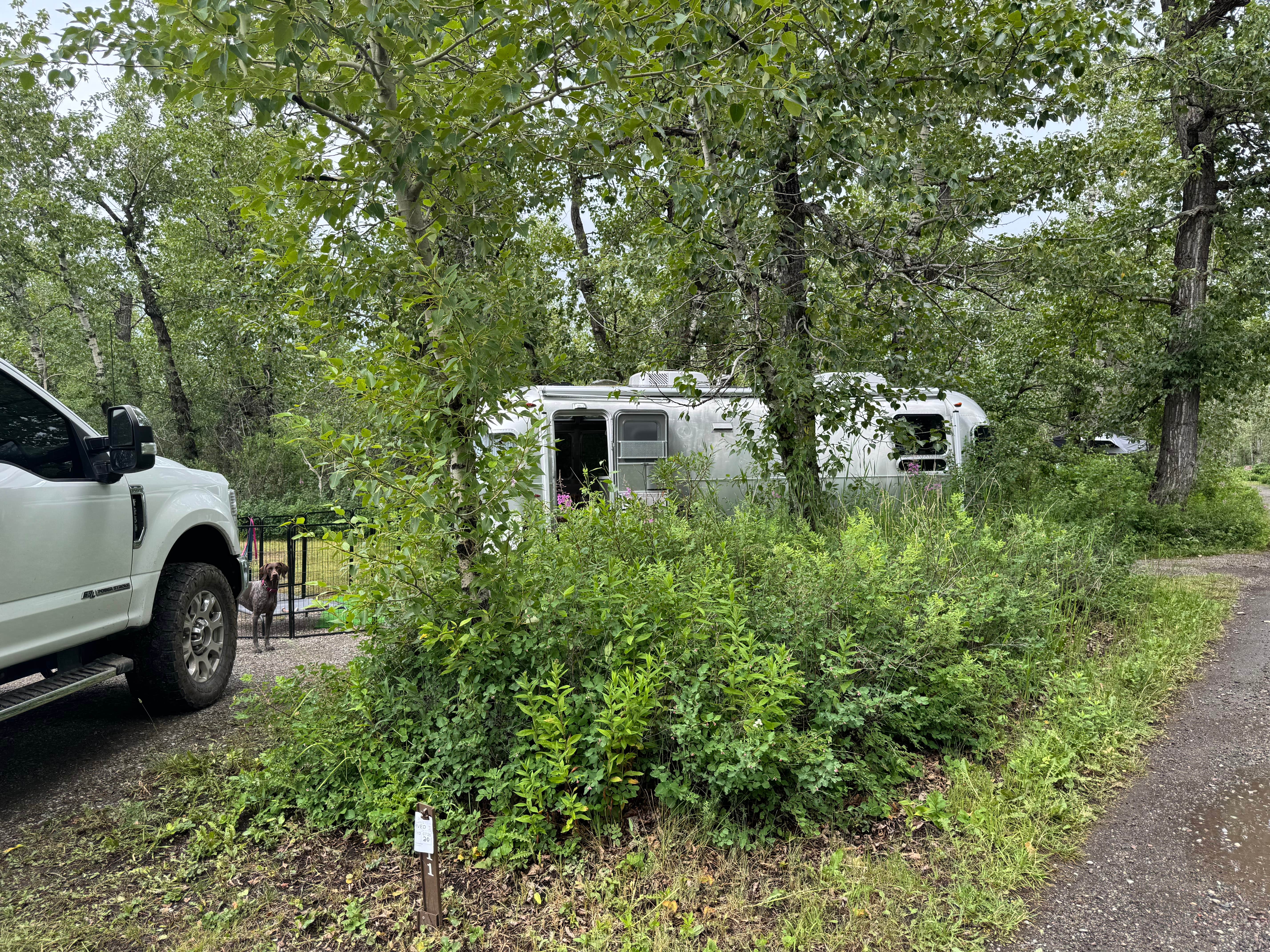 Soren B.'s photo of camping with pets at St Mary Campground - Glacier National Park — Glacier National Park near Glacier National Park